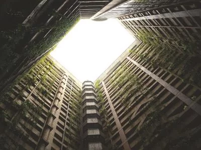 专业票房大麦网辅助app